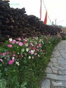 四川成都 巴郎山 四姑娘山 東谷天然盆景 塔公寺 塔公草原 雅拉神山 高爾寺山 雅江 理塘 毛埡大草原 稻城亞丁 卓瑪拉措神湖 扎罐崩 卓瑪拉措 康定 海螺溝景區(qū) 雙高8日游【亞丁全景】