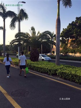 廈門環(huán)島路