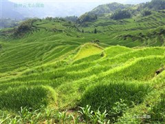 廣西桂林 象鼻山、天空之境、駱駝峰 七星景區(qū)、銀子巖、興坪漓江、日月雙塔 雙飛 5日游【乘船賞二十元人民幣背景圖案，網(wǎng)紅旅拍提供民族服飾穿戴】