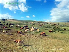 齊齊哈爾（扎龍丹頂鶴）、海拉爾 呼倫貝爾大草原、滿洲里 額爾古納濕地、根河大興安嶺、漠河 北極村、五大連池 雙飛9日【草原遇到大森林；穿越兩極 壯美火山】