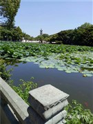 山東費縣 利山澗古村 1日游【另可代訂自駕門票】