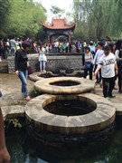 山東 竹泉村 / 龍園 / 天馬島 / 海洋世界+龍園 / 動植物園+極地海洋館 1日游