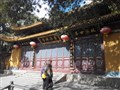 杭州西湖、普陀山祈福、水鄉(xiāng)烏鎮(zhèn) 3日游【拜道場(chǎng)，游江南】