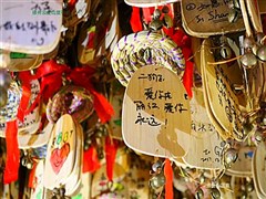 云南西雙版納 南糯山、墨江北回歸線公園、普洱國家森林公園、野象谷百鳥園、勐泐大佛寺、告莊西雙景 雙飛6日游【體驗(yàn)潑水節(jié)、孔雀放飛、生物多樣原始叢林。解鎖版納秘境 暢享純玩；彩云之南 花樣旅行】