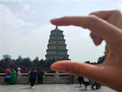 陜西西安 網(wǎng)紅大唐不夜城、唐華清宮、秦兵馬俑博物館、黃帝陵及軒轅廟、壺口瀑布、棗園、王家坪或楊家?guī)X、回民街 雙臥6日游【金色壺口、紅色延安】