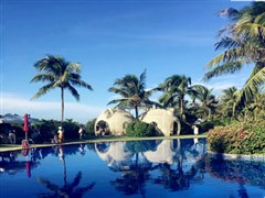 海南三亞 蜈支洲島、游艇出海+直升機(jī)體驗(yàn)、天涯海角、亞龍灣熱帶天堂森林公園、亞龍灣沙灘、玫瑰谷 雙飛6日游【入住海邊豪華海景房，贈(zèng)送直升機(jī)體驗(yàn)，升級(jí)蟹鮑海鮮餐】