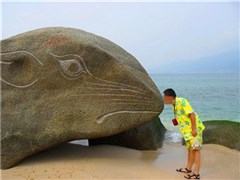 海南三亞 亞龍灣熱帶天堂森林公園、蜈支洲島暢玩（含玻璃棧道）、直升機(jī)小起落、贈(zèng)清新下午茶 雙飛5日游【輕奢*精致*網(wǎng)紅*純玩；高端精致10人小團(tuán)，獨(dú)家定制】