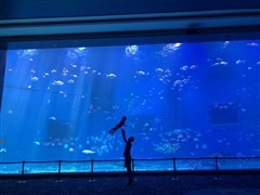 山東日照 奧林匹克公園、桃花島1天 / 多島趕海樂(lè)園 ＋嵐山科技館+海水浴場(chǎng) 純玩1日游【選一報(bào)名】