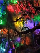 貴陽黃果樹瀑布、荔波小七孔、《多彩貴州風》表演、西江千戶苗寨、青巖古鎮(zhèn)、天河潭 雙飛6日游【黔景戀；最美的顏色是自然的顏色，最好的風景，是純凈的風景。最好的心情，是透明的心情】