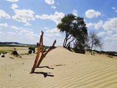 秦皇島南北戴河 山海關(guān)古城、老龍頭 秦皇求仙入海處、鴿子窩公園、豪華船游大海、仙螺島外灘、漁島海洋溫泉+好萊塢G秀表演、秦皇小巷 尊享純玩 5日游【純玩0進(jìn)店0自費(fèi)，升級(jí)海鮮大咖+非遺葷鍋