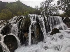四川成都 九寨溝、黃龍、峨眉山、樂山大佛、都江堰、青城山（或者熊貓基地）綿陽 雙飛8天【全景高品推薦；羌族/藏族特色美食；0自費(fèi)景點】