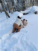 吉林霧凇、萬科滑雪、秘境長白山、霧凇漂流、東北虎園、鏡泊湖冰瀑、中國雪鄉(xiāng)、馴鹿園、哈爾濱冰雪大世界 雙飛7天【吉進(jìn)哈出，長白山+延吉黃金小環(huán)線，不走回頭路，升級(jí)2+1保姆車小包團(tuán)】