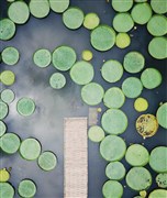 云南昆明 西山森林公園、野象谷、中科院熱帶植物園、原始森林公園、茶山、告莊西雙景、總佛寺 雙飛雙動(dòng)6日游【最適合家庭出游的西雙版納旅游路線；20成人小包團(tuán) 體驗(yàn)有深度】