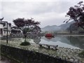安徽 西遞、宏村、新安江山水畫(huà)廊、屯溪老街 3日游 【高鐵游】