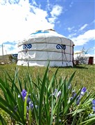 內(nèi)蒙古呼和浩特、希拉穆仁草原、銀肯響沙灣、成吉思汗陵、內(nèi)蒙古博物館、紅格爾部落 雙飛5日游【呼包鄂“金三角”全線暢游內(nèi)蒙、雙5A景區(qū) 爆款產(chǎn)品】