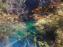 四川成都 九寨溝、黃龍、松潘古城、都江堰、中華大熊貓?jiān)?、春熙?太古里、裸眼3D巨幕 純玩6日游【全國(guó)熱辣首發(fā) 坐巴士吃巴適；火鍋巴士 全國(guó)只有一輛】