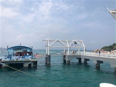 海南三亞 蜈支洲島、南山佛教文化苑、玫瑰谷、天堂森林公園、帆船出海（珊瑚礁潛水）+亞特水世界 6日游【奢野露營(yíng)、篝火晚會(huì)、黎族文化體驗(yàn)】