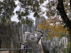 云南昆明 大理、麗江、西雙版納、瀘沽湖、香格里拉、騰沖、瑞麗、芒市 雙飛雙動(dòng)14天【純玩大全景，一次游覽完云南11城33景】