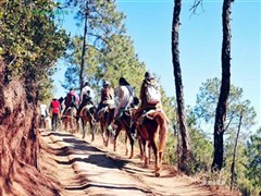 云南昆明 大理古城、麗江玉龍雪山大索道 藍月谷、實景演出《印象麗江》、束河古鎮(zhèn)、瀘沽湖環(huán)湖游 里格半島 雙飛一動6日游【醉特色0購物，麗江動車返昆明】