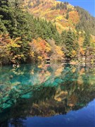 四川成都 自由活動(dòng)一天、熊貓基地、三星堆或金沙遺址、樂(lè)山大佛“抱佛腳”、峨眉山金頂 雙飛6日游【特惠臻純玩 行程無(wú)憂；當(dāng)?shù)厣?jí)2+1陸地頭等艙；住宿網(wǎng)評(píng)四鉆酒店】