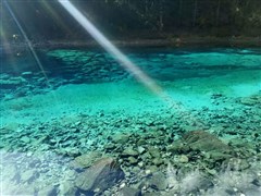 四川成都 九寨溝、黃龍、熊貓樂(lè)園或都江堰、峨眉山金頂、樂(lè)山大佛游江 純玩6日游【純玩0購(gòu)物，升級(jí)2+1頭等艙保姆車，贈(zèng)送走進(jìn)臧家歡樂(lè)頌；A線B線2選一】