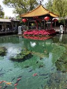 濟(jì)南趵突泉、明水古城（白+黑暢游）、大明湖、解放閣、黑虎泉、芙蓉街 2日游【帶您解鎖小泉城，真純玩更舒適】