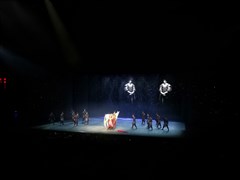 山東臨沂 瑯琊古城（白天+夜游）、銀座天蒙 2日游【沉浸式互動演繹，特別贈送沂蒙小調(diào)】