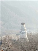 山西太原 大同云岡石窟、喬家大院、平遙古城、晉祠、懸空寺、五臺山、應縣木塔、雙林寺 5日游【應有晉有2-12人獨家VIP小團，特別贈送：平遙晉商旅拍+民俗演出《晉商鄉(xiāng)音》，升級平遙網(wǎng)評仿古客棧+2+1