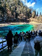 四川成都 九寨溝、黃龍、熊貓樂(lè)園或都江堰、峨眉山金頂、樂(lè)山大佛游江 6日游【純玩游：A線淳雅九黃熊 B線堰雅九黃都】