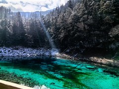 四川成都 樂山大佛、峨眉山（二進峨眉）、青城山、都江堰、成都大熊貓基地、三星堆或金沙遺址 6日游【品峨眉山養(yǎng)生晚宴，真純玩】