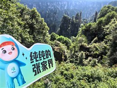 湖南張家界 國家森林公園（袁家界*百龍電梯*金鞭溪）、大型民俗表演、湘西苗寨、芙蓉鎮(zhèn)、鳳凰古城、天門山玻璃棧道*天門洞 矮寨大橋、土司王府 5日游【一價全含·舒適型住宿+升級1晚當(dāng)?shù)販?zhǔn)五星酒店或高端客